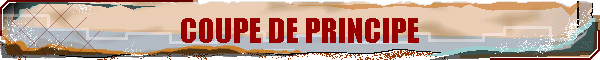 COUPE DE PRINCIPE
